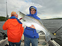 View the 2013 Striper Fishing on the Hudson River Photo Gallery