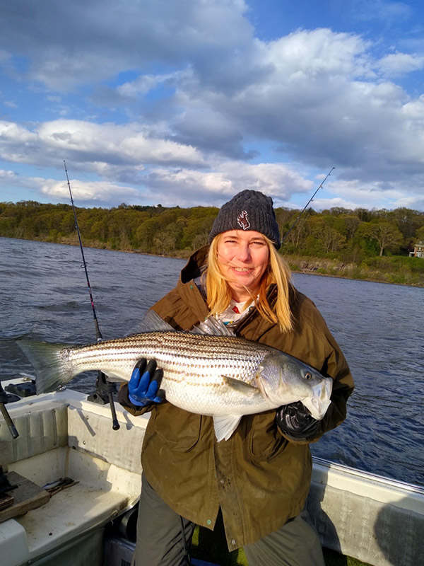 View the 2019 Striper Fishing on the Hudson River Photo Gallery