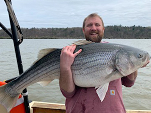 Huge Striper caught with Hudson River Charter